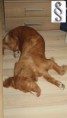 /album/a6-12-mesiacov/a20120803-1-img-2342-563x1000-jpg/
